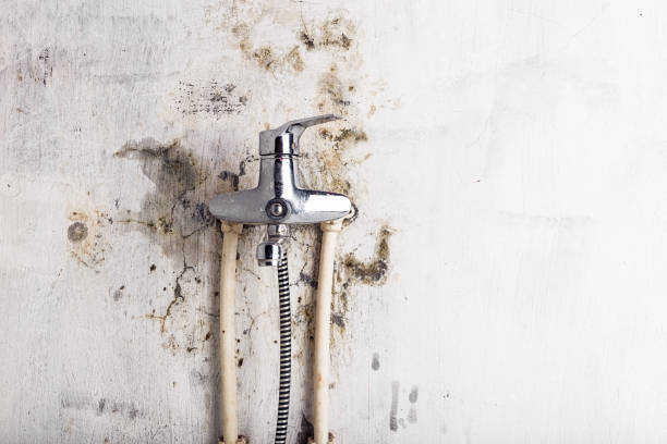 Best Post-Flood Mold Remediation in Fayetteville, AL
