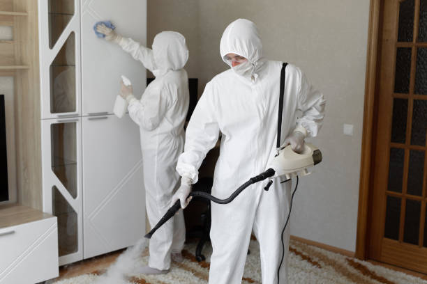 Trusted Fayetteville, AL Mold Remediation Experts